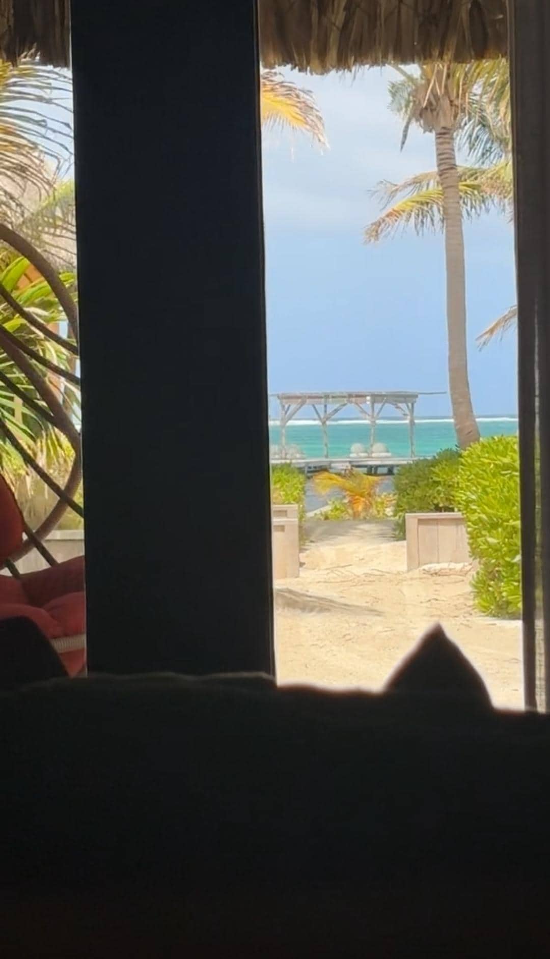 View from the first bed 