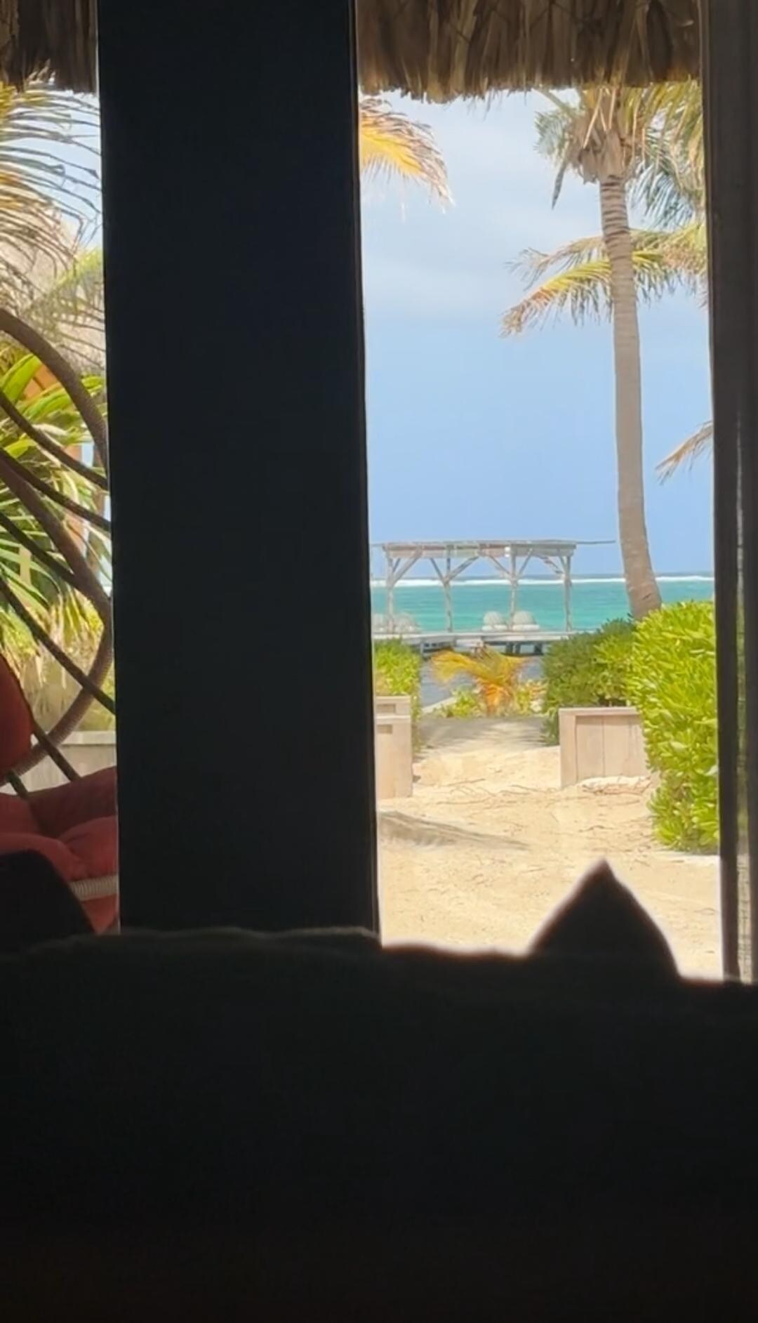 View from the first bed 