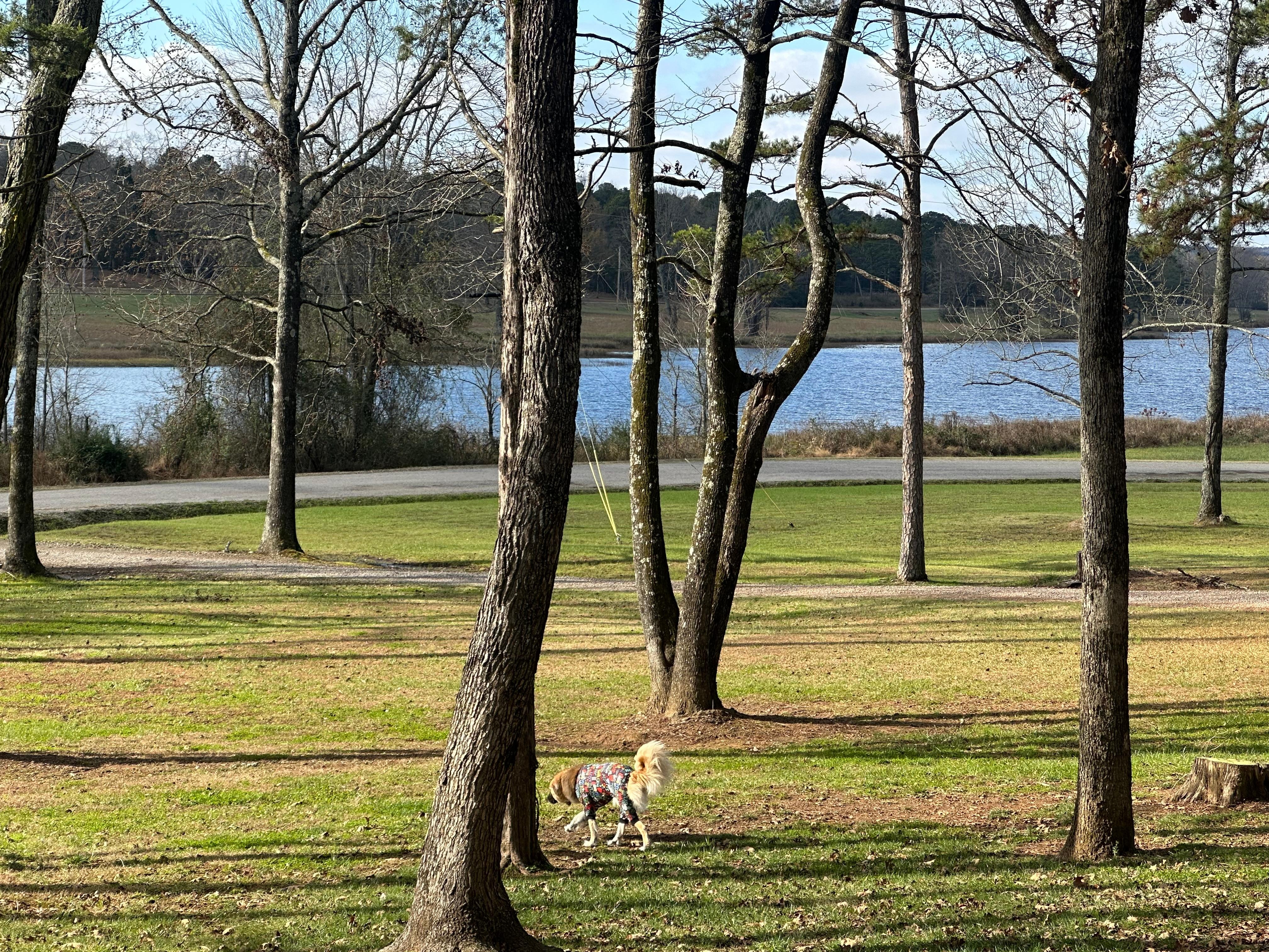 Wake up to this view! 