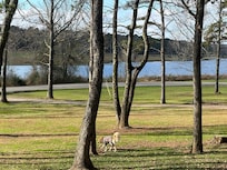 Wake up to this view!