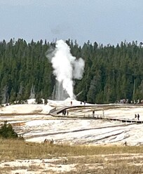 Geyser at Yellowstone