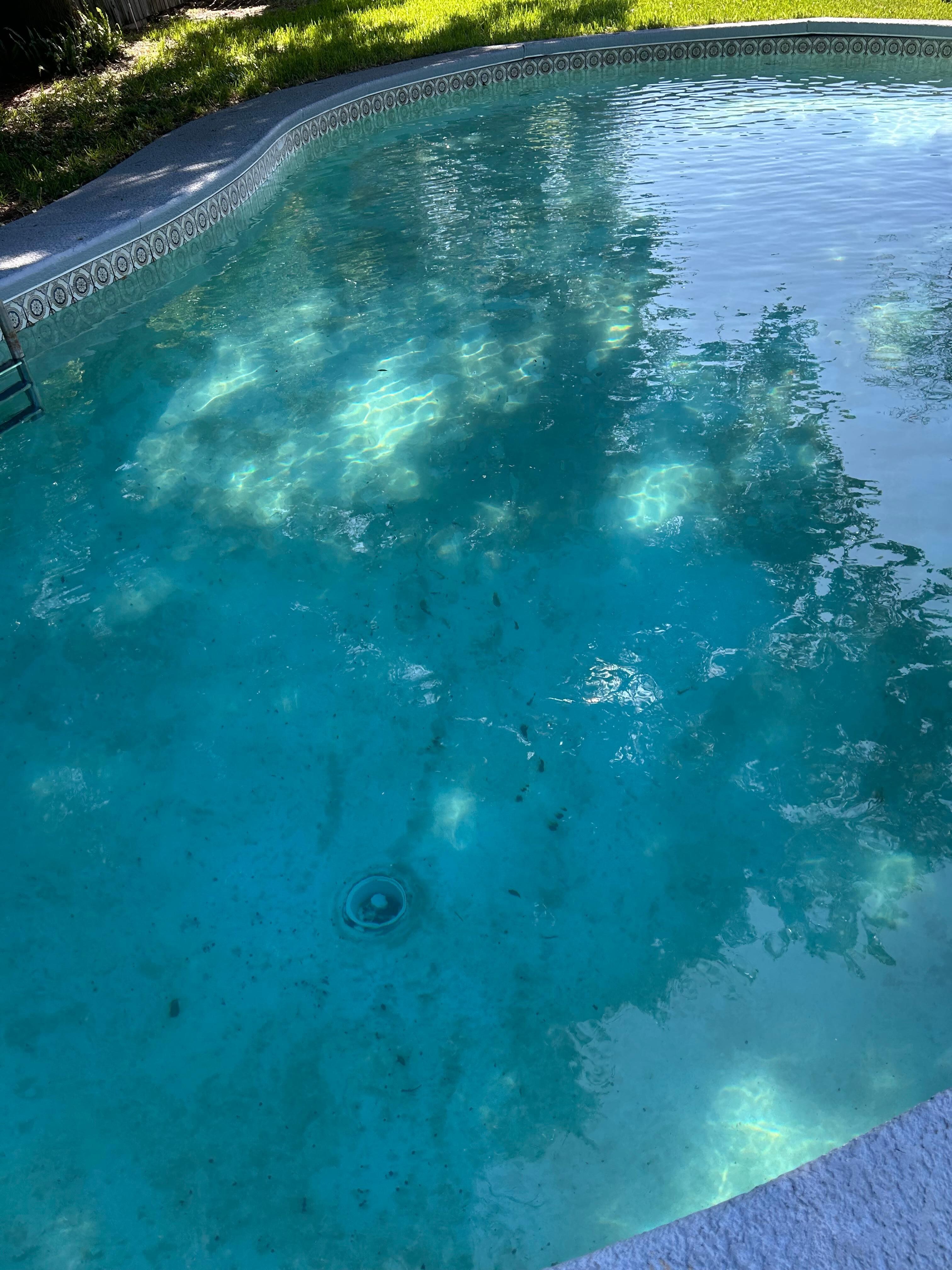 Filthy pool 