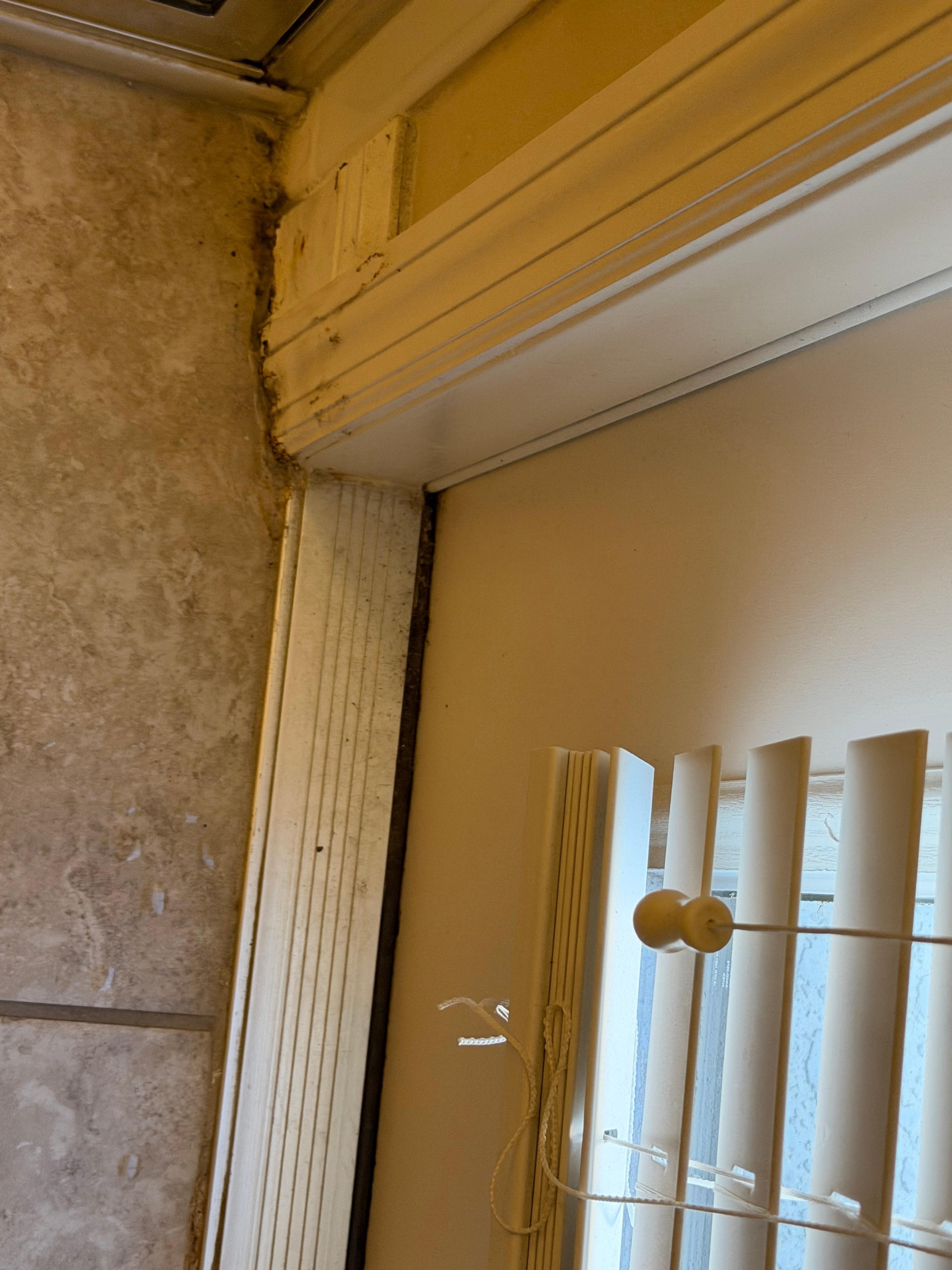 Bold in master bathroom