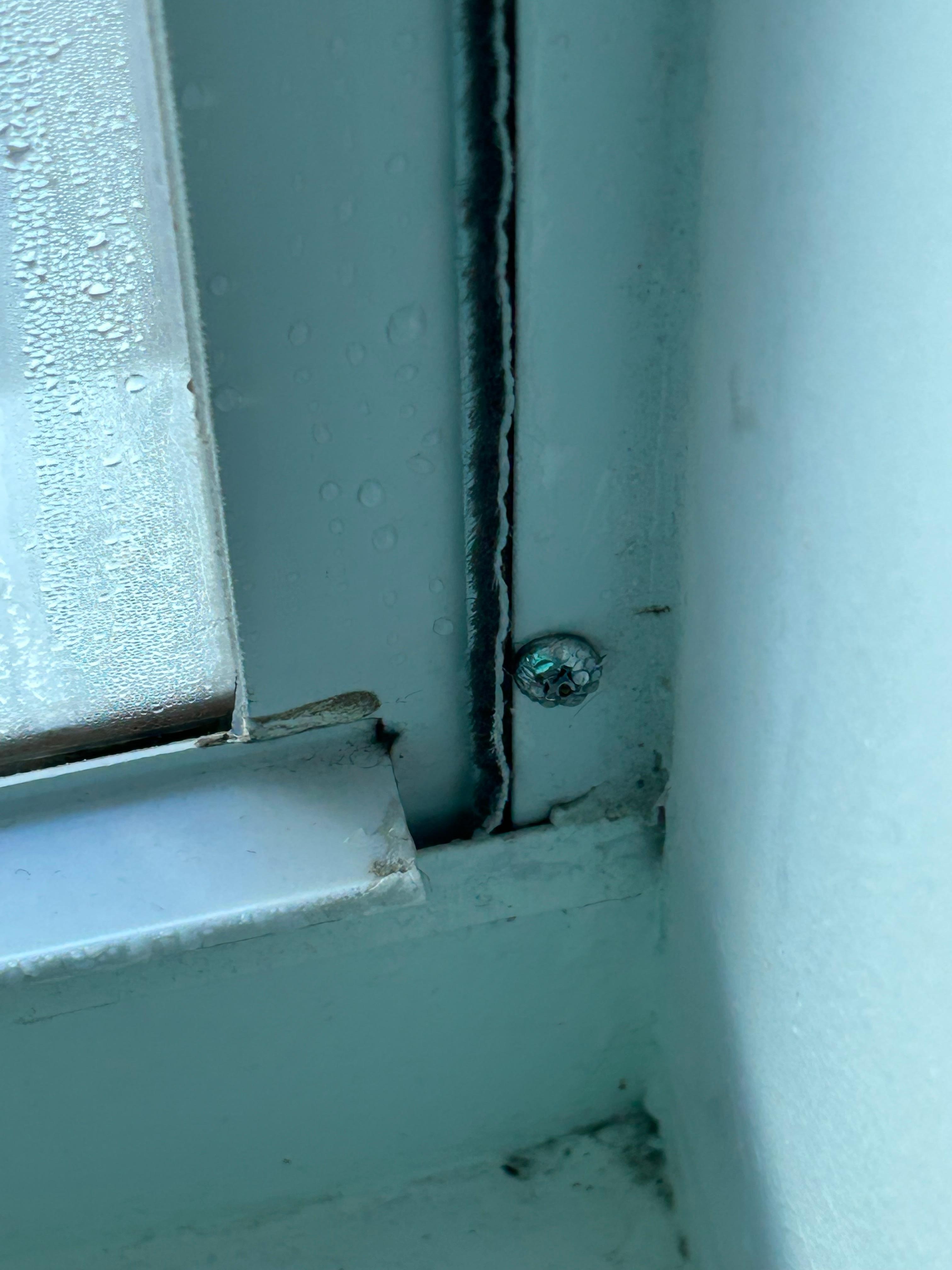 Windows screwed shut