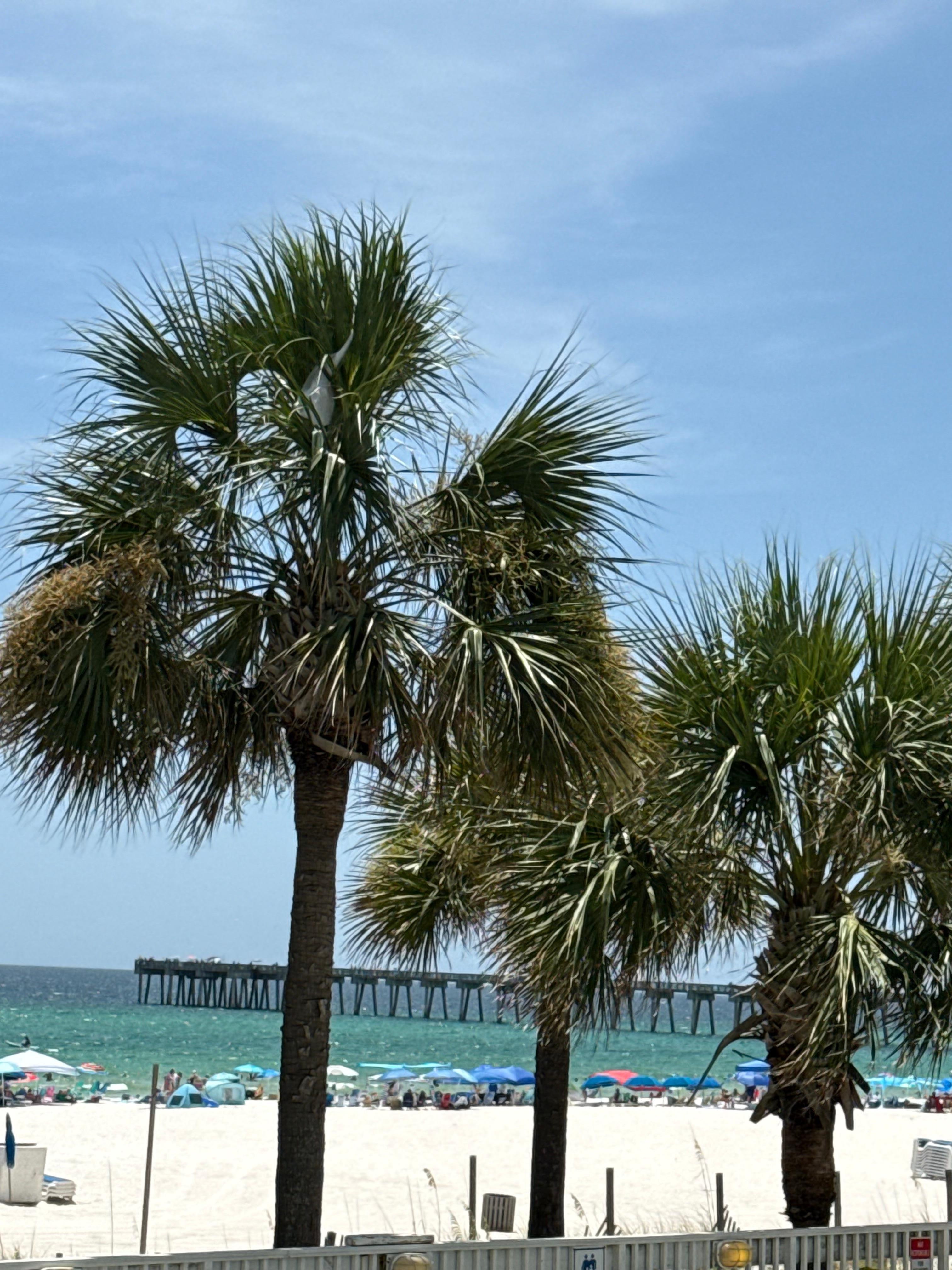 beach view from side deck at motel