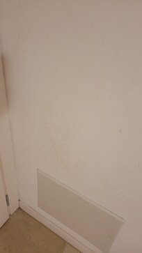 Walls stains