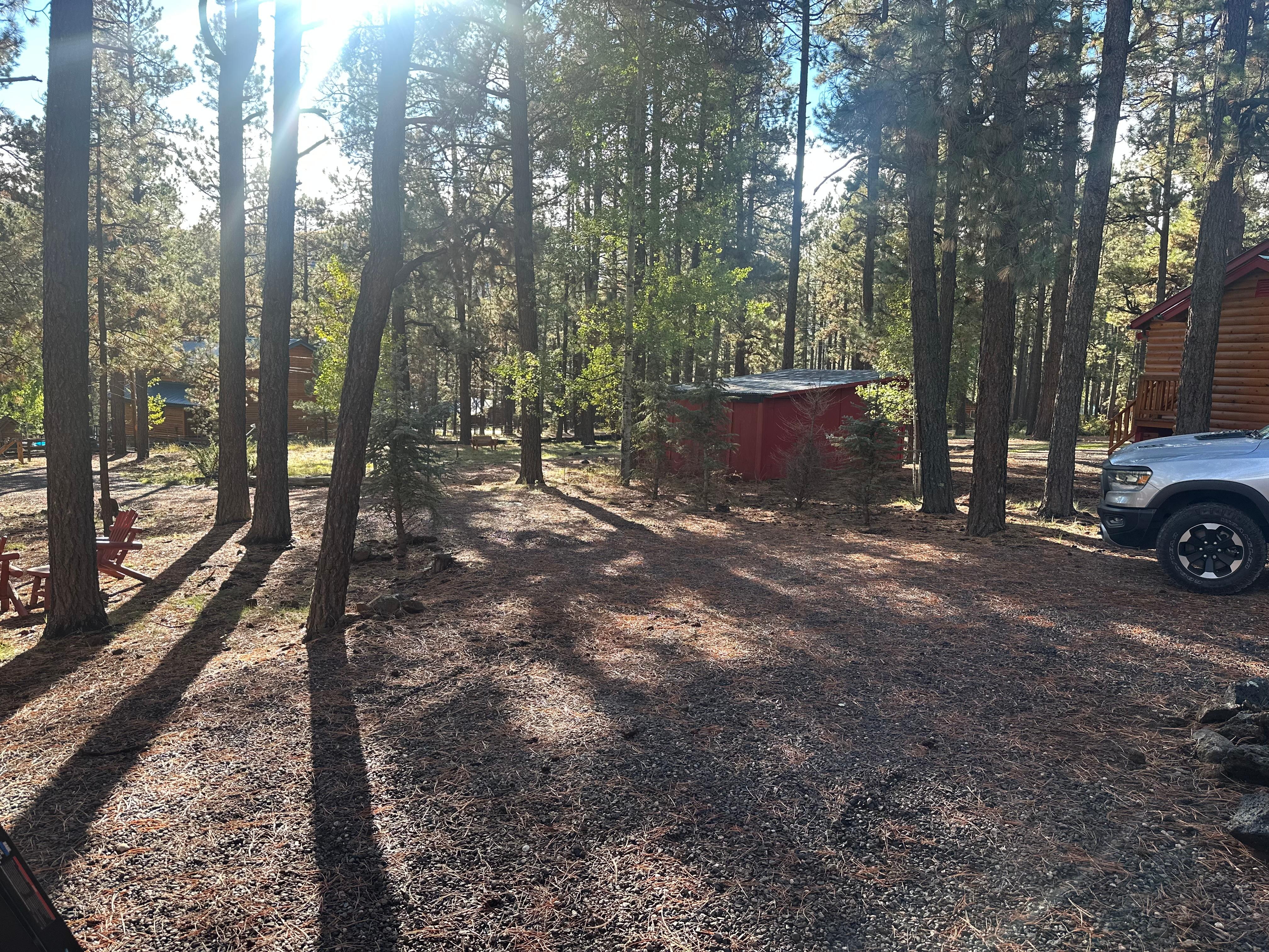 View from front porch 