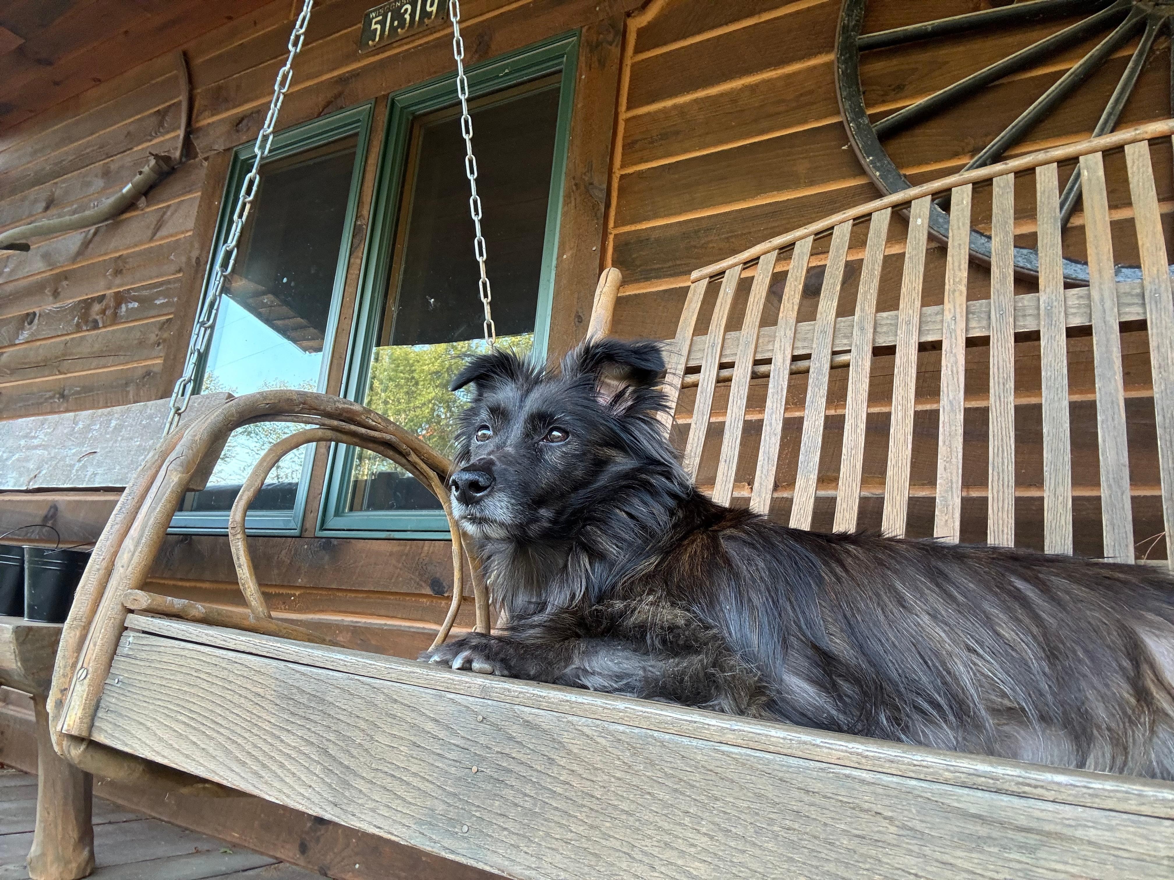 Sky loved the swing on the front porch