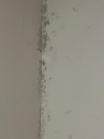 Moldy