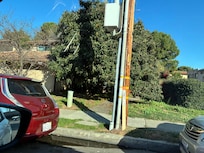 The tree blocked the walkway