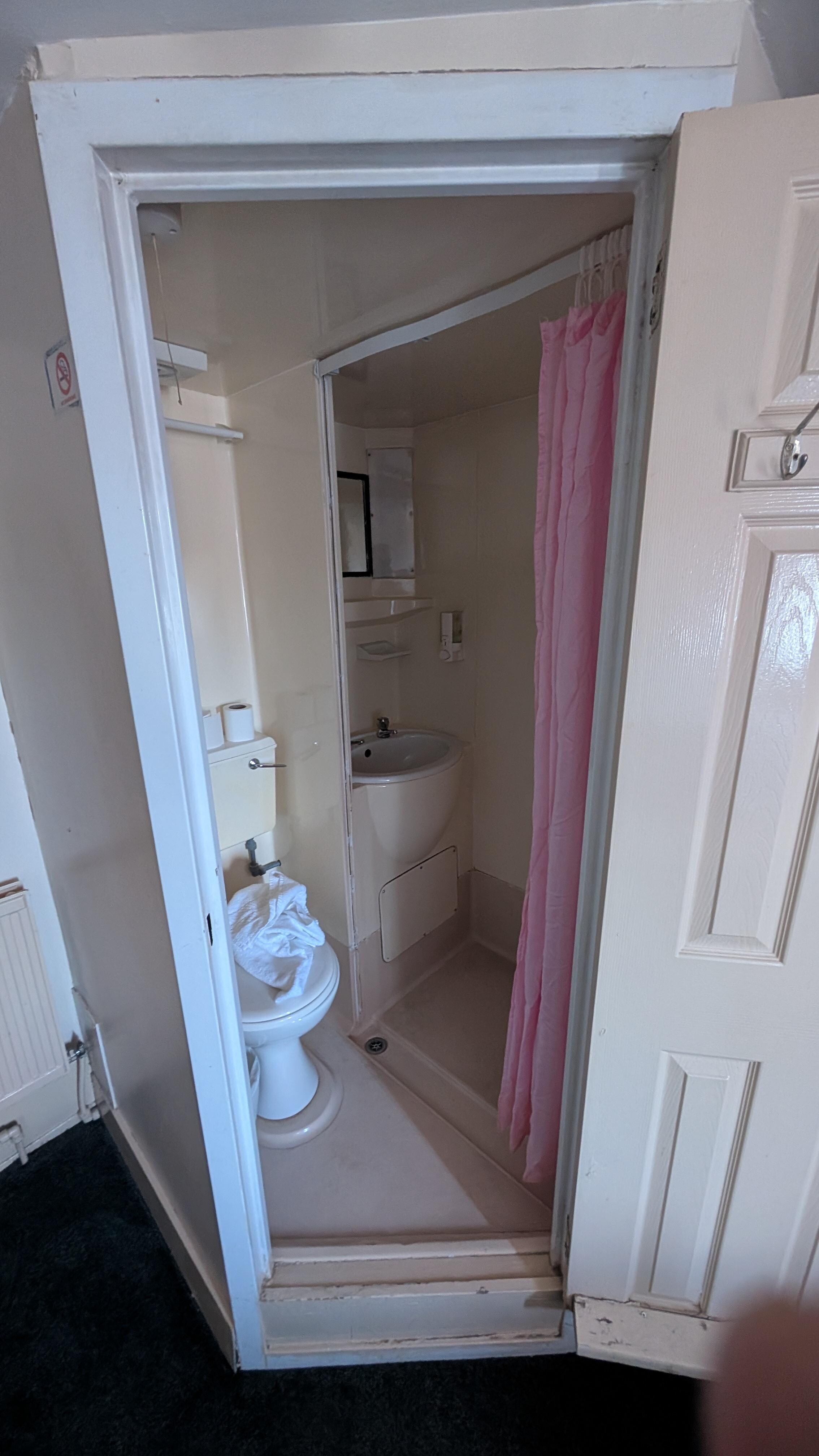 Tiny combined shower and sink with toilet.