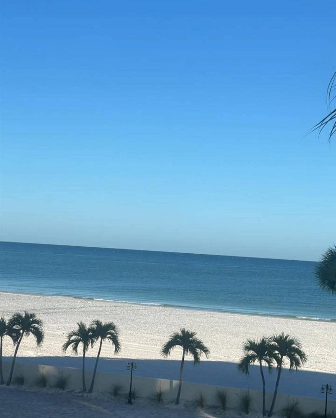 View from the patio.