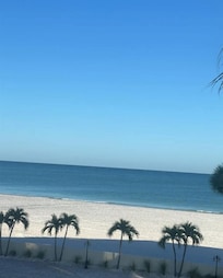 View from the patio.