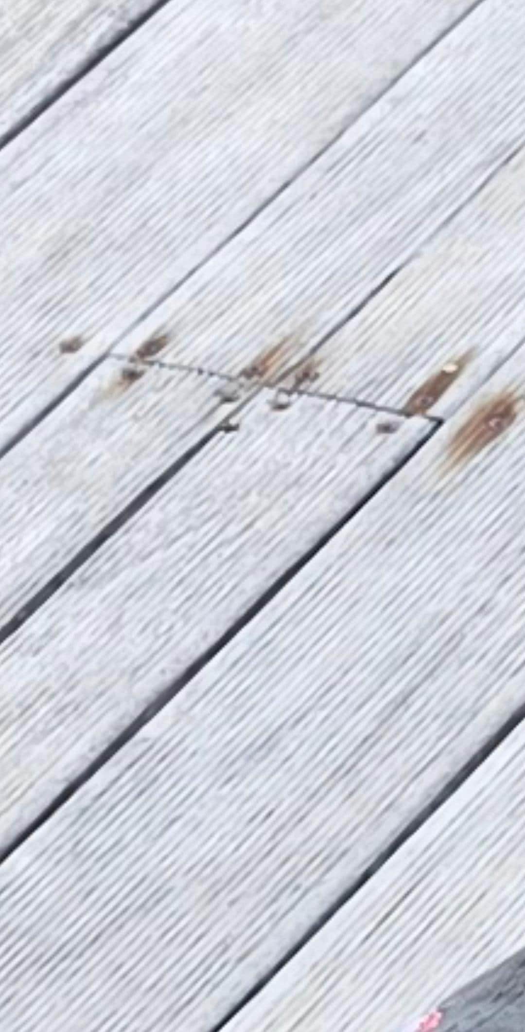 Rusty screws around decking