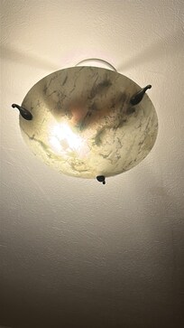 Beer bottles in light