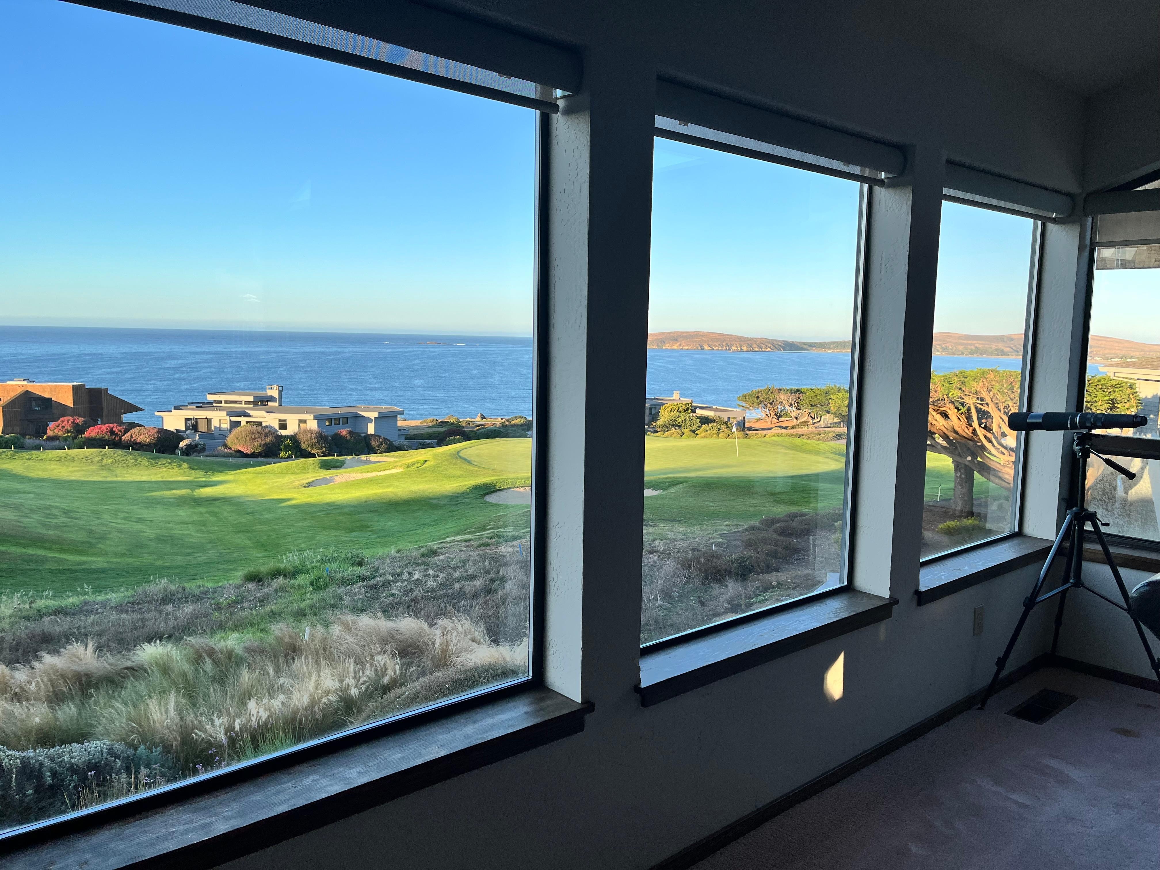 View from the dining area. 