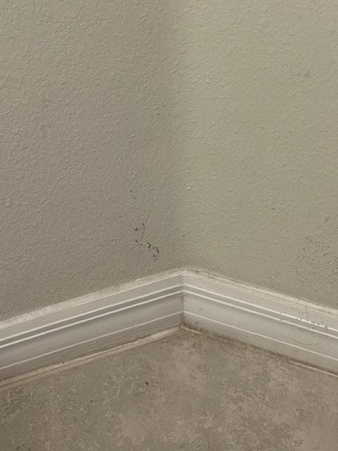 All walls/trim look like this