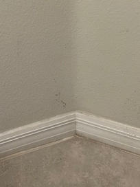 All walls/trim look like this