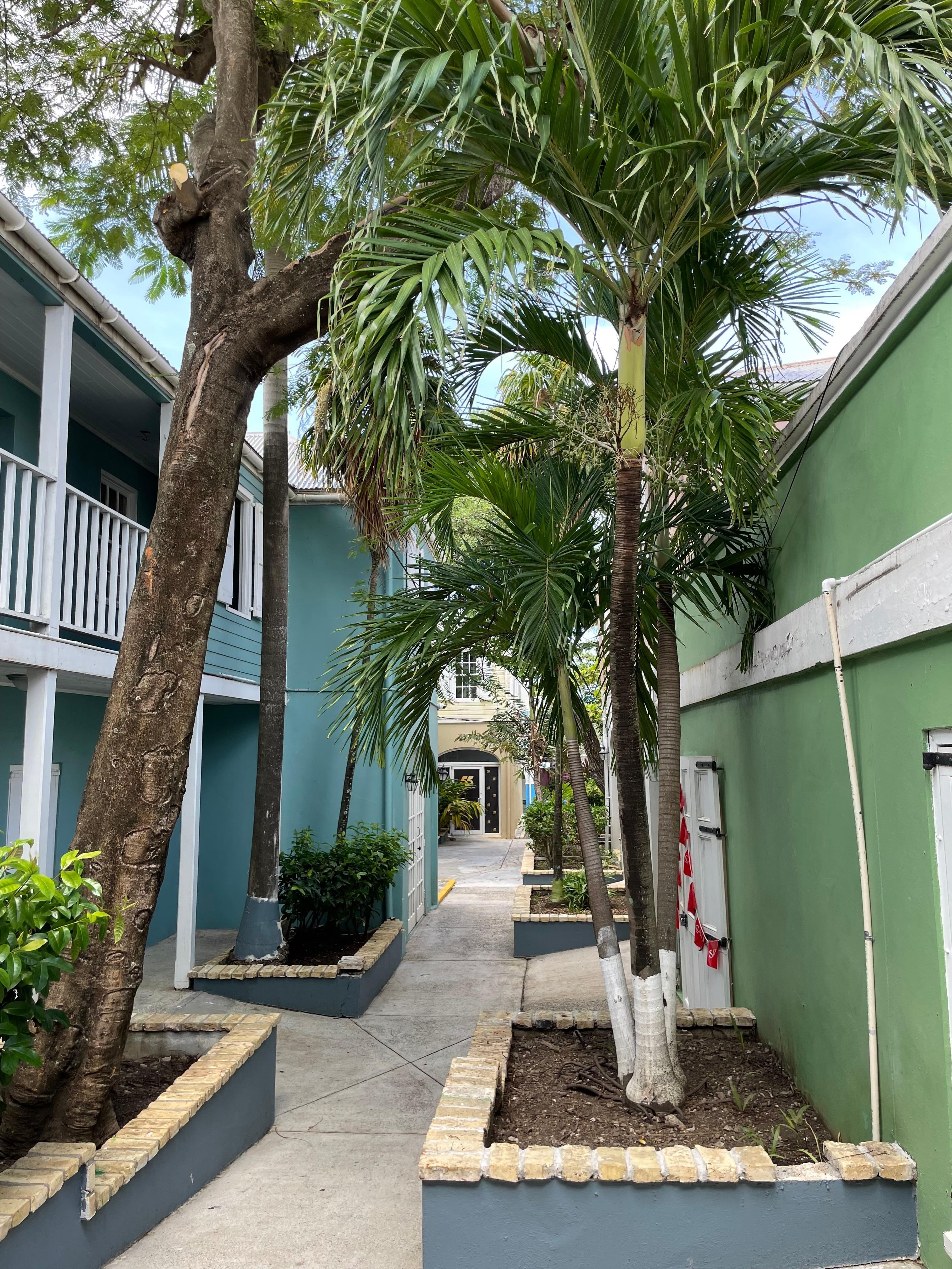 PRETTIEST STREET IN DOWNTOWN CHRISTIANSTED