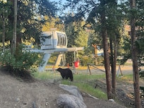 Bear outside our door on the last day