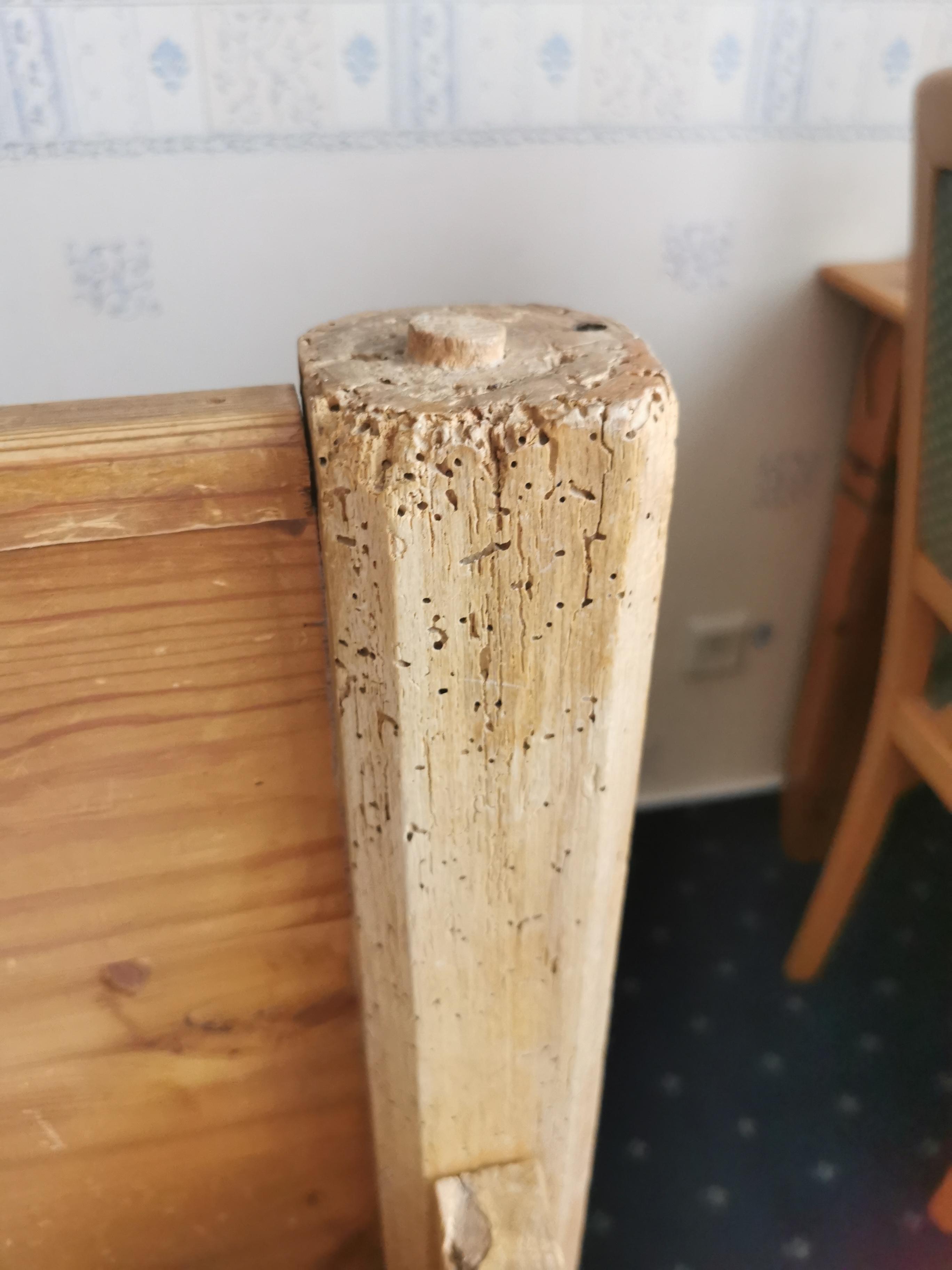 Fehlt schon ein Teil vom bett Holzwurm lässt grüßen 