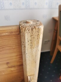 Fehlt schon ein Teil vom bett Holzwurm lässt grüßen
