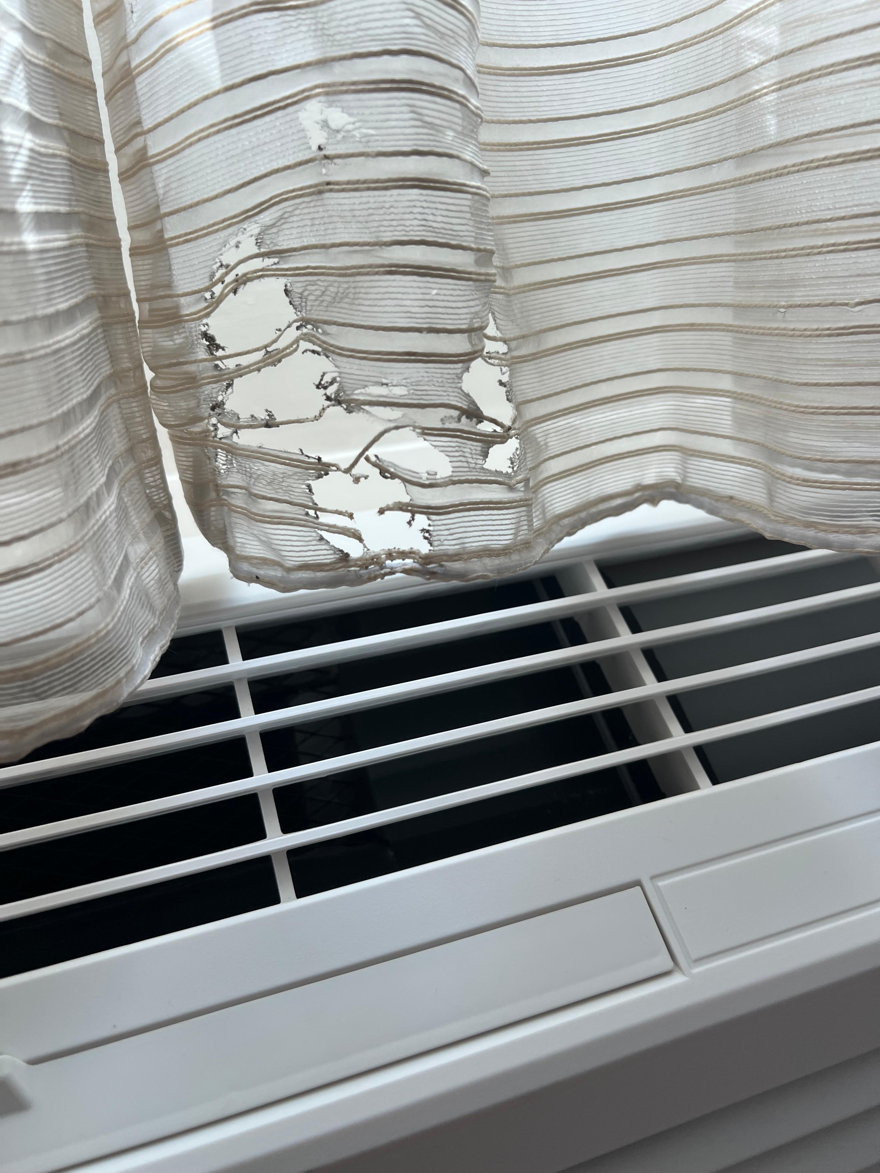 Burn holes in the curtain.