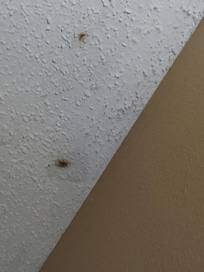 Spots on ceiling