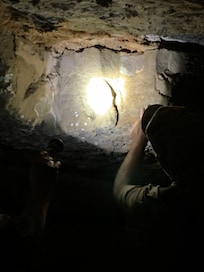 Mammoth Cave