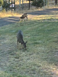 This picture was from the kitchen every morning.