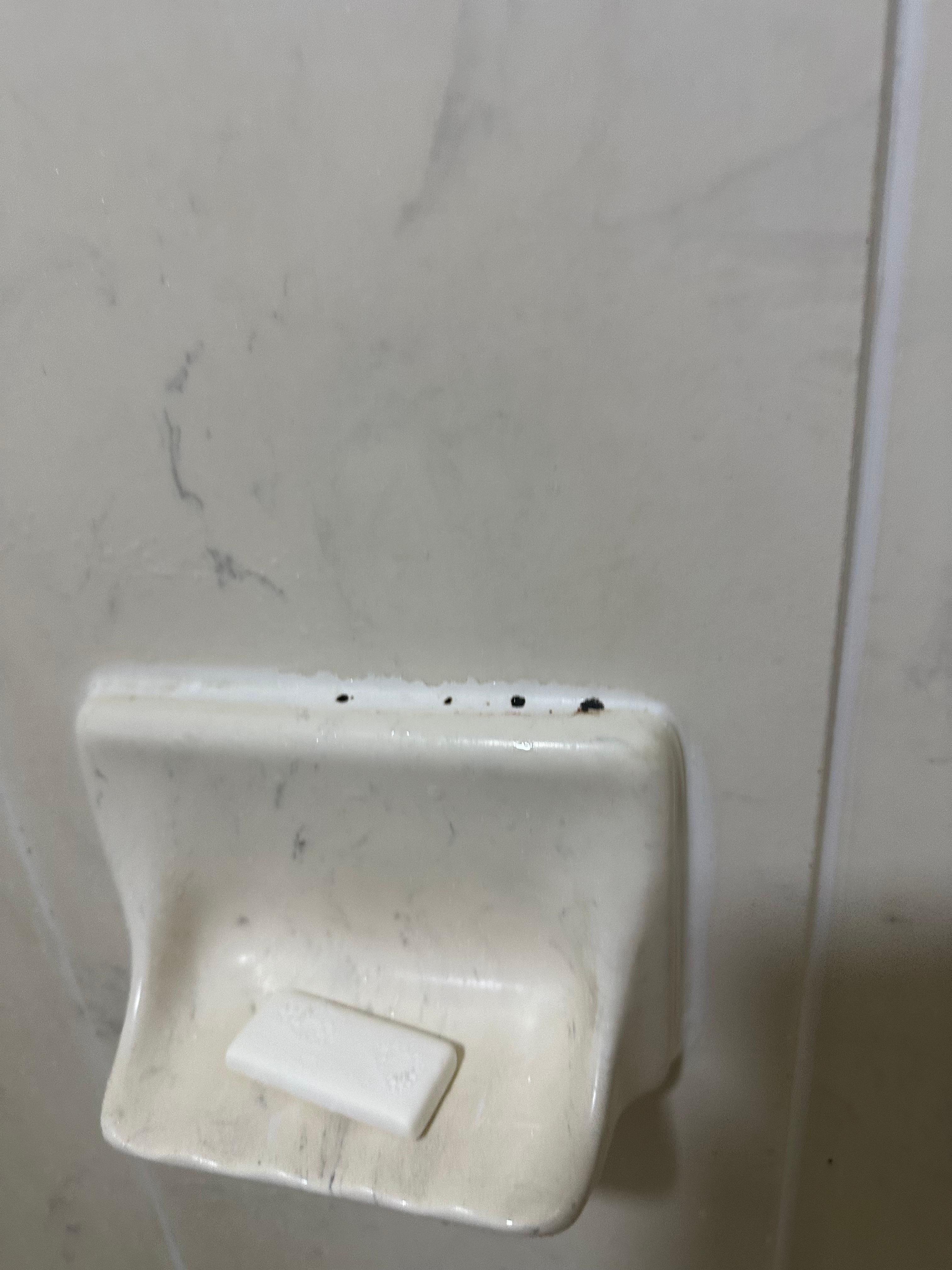 Mildew growing in the grout