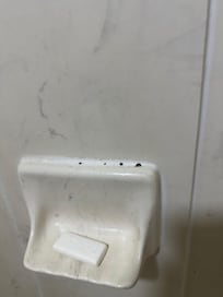 Mildew growing in the grout