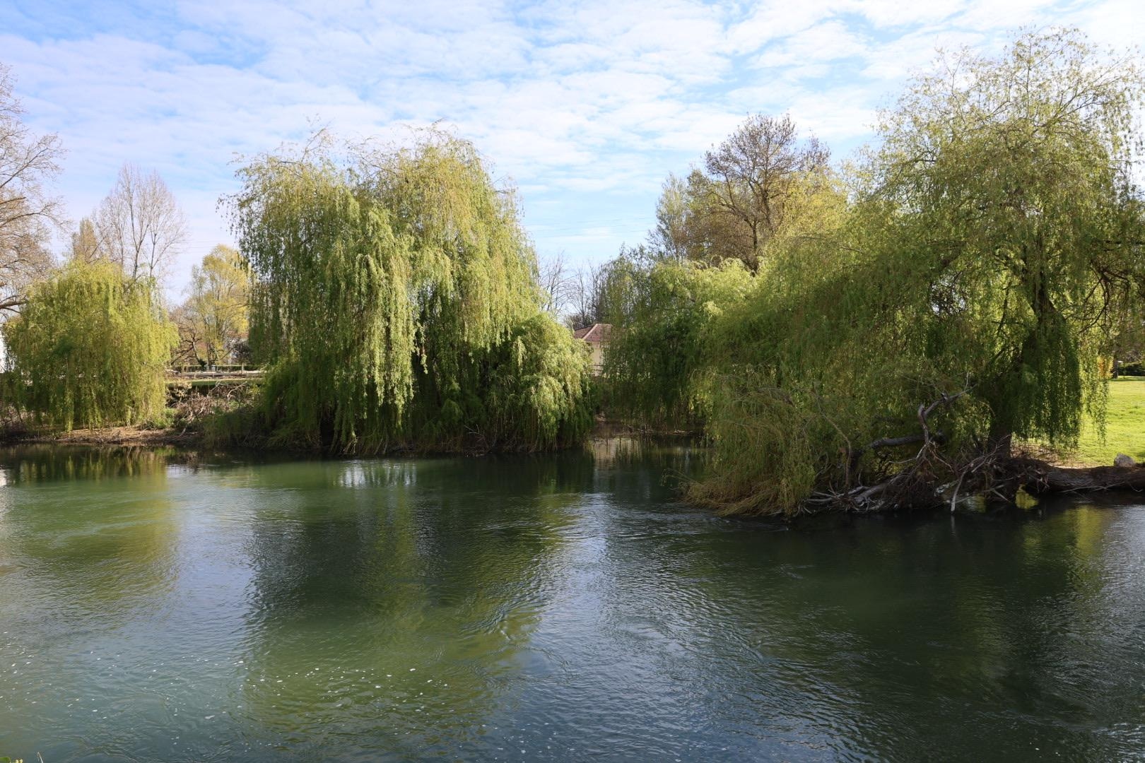 View from outside the apartment of the river