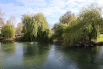 View from outside the apartment of the river