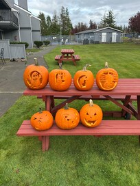 Carving pumpkins