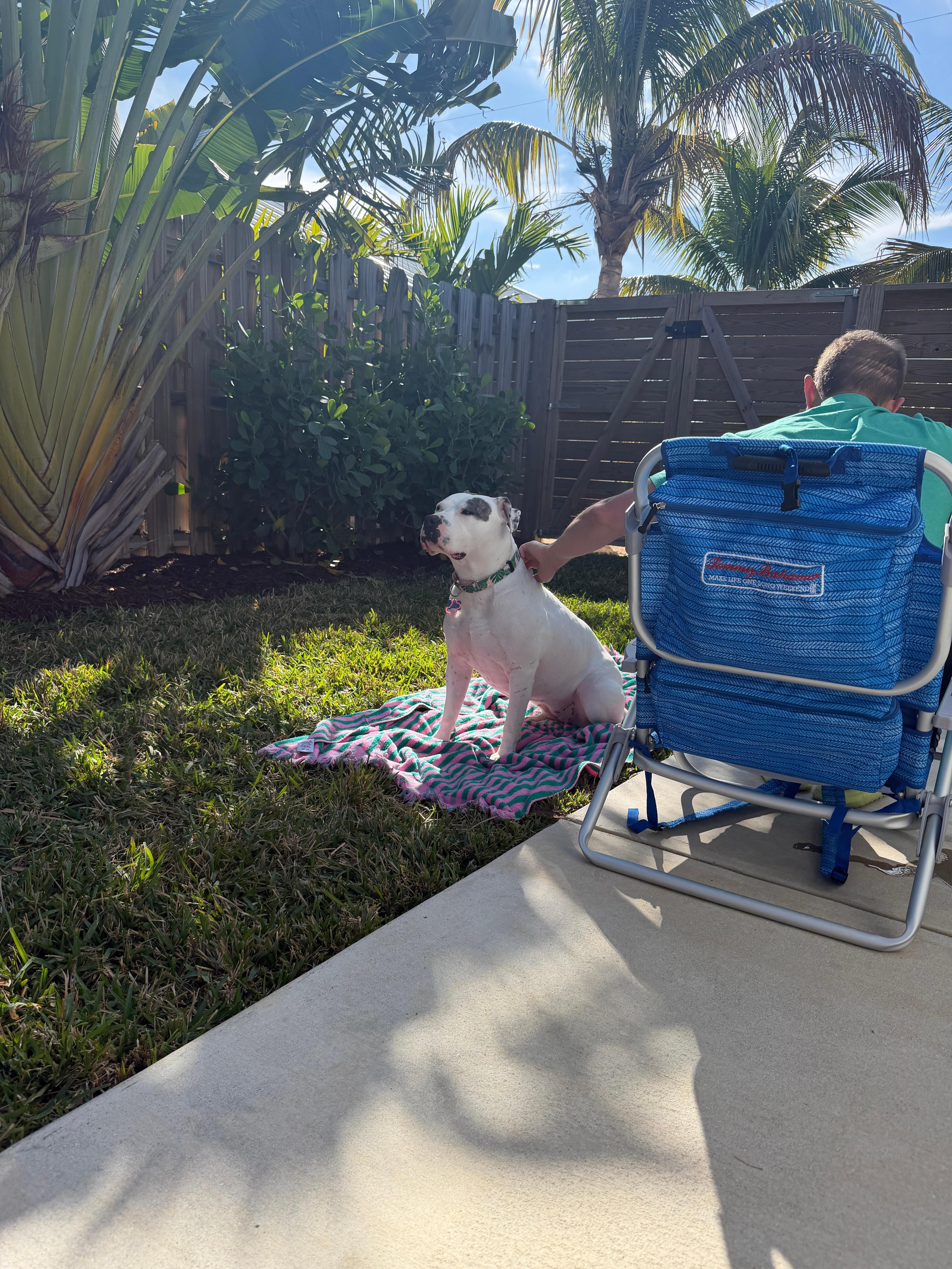 Perfect sun coverage during the day 