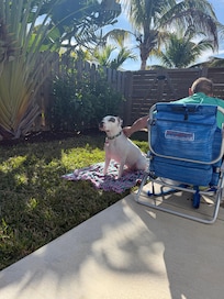 Perfect sun coverage during the day