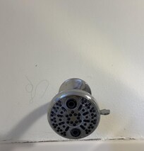 Hair on wall above showerhead