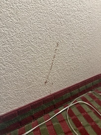 No idea what this red brown splash stain is on the wall.