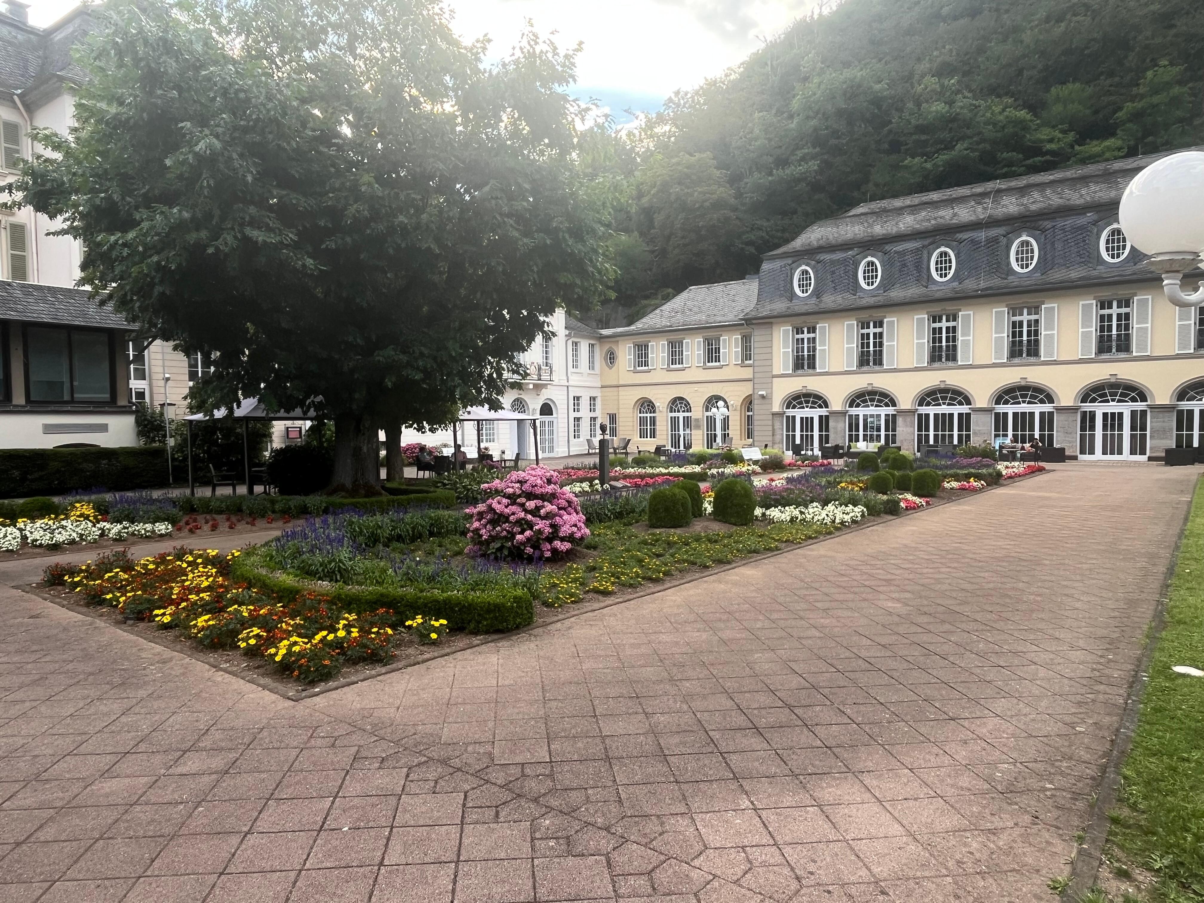 View from the terrace 