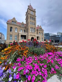 City Hall