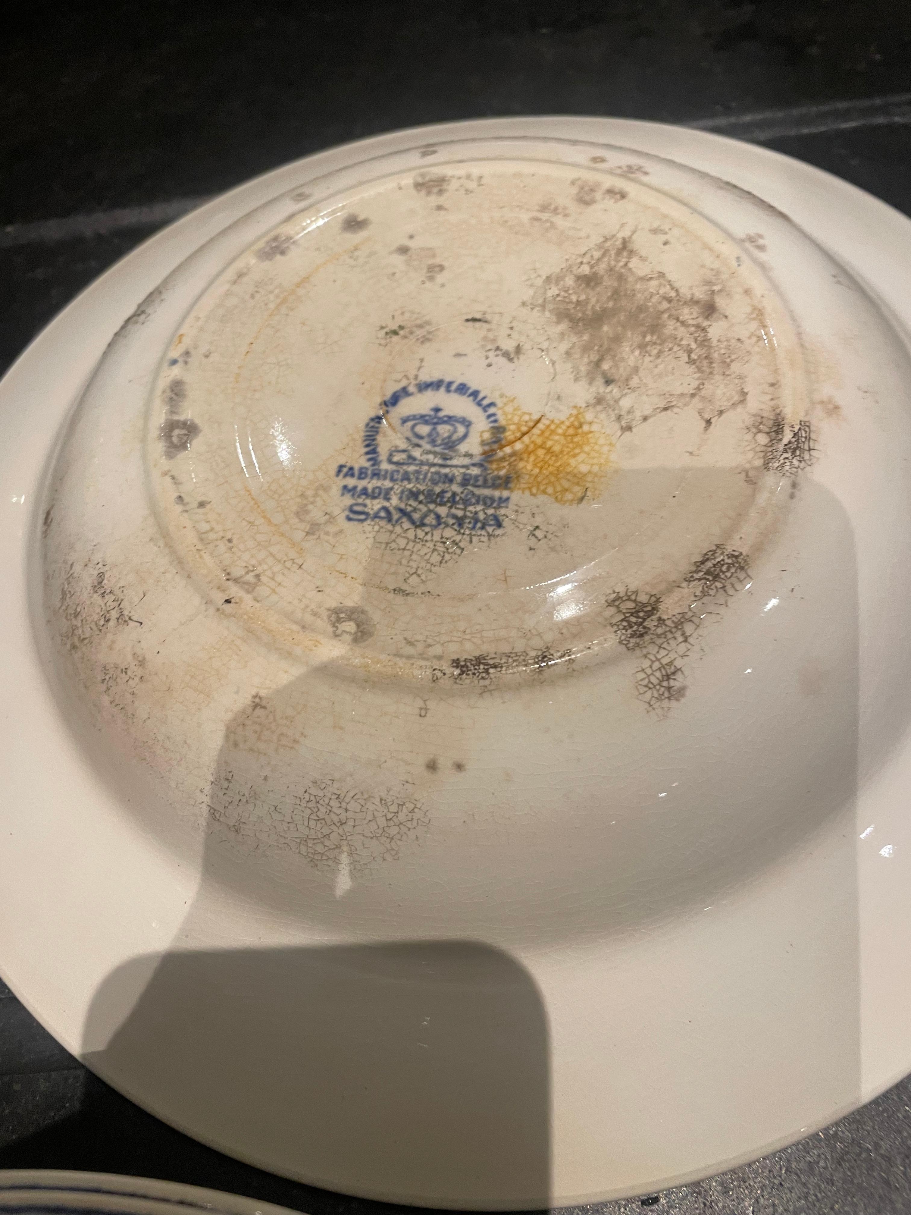 One of the mouldy plates left in the cupboard