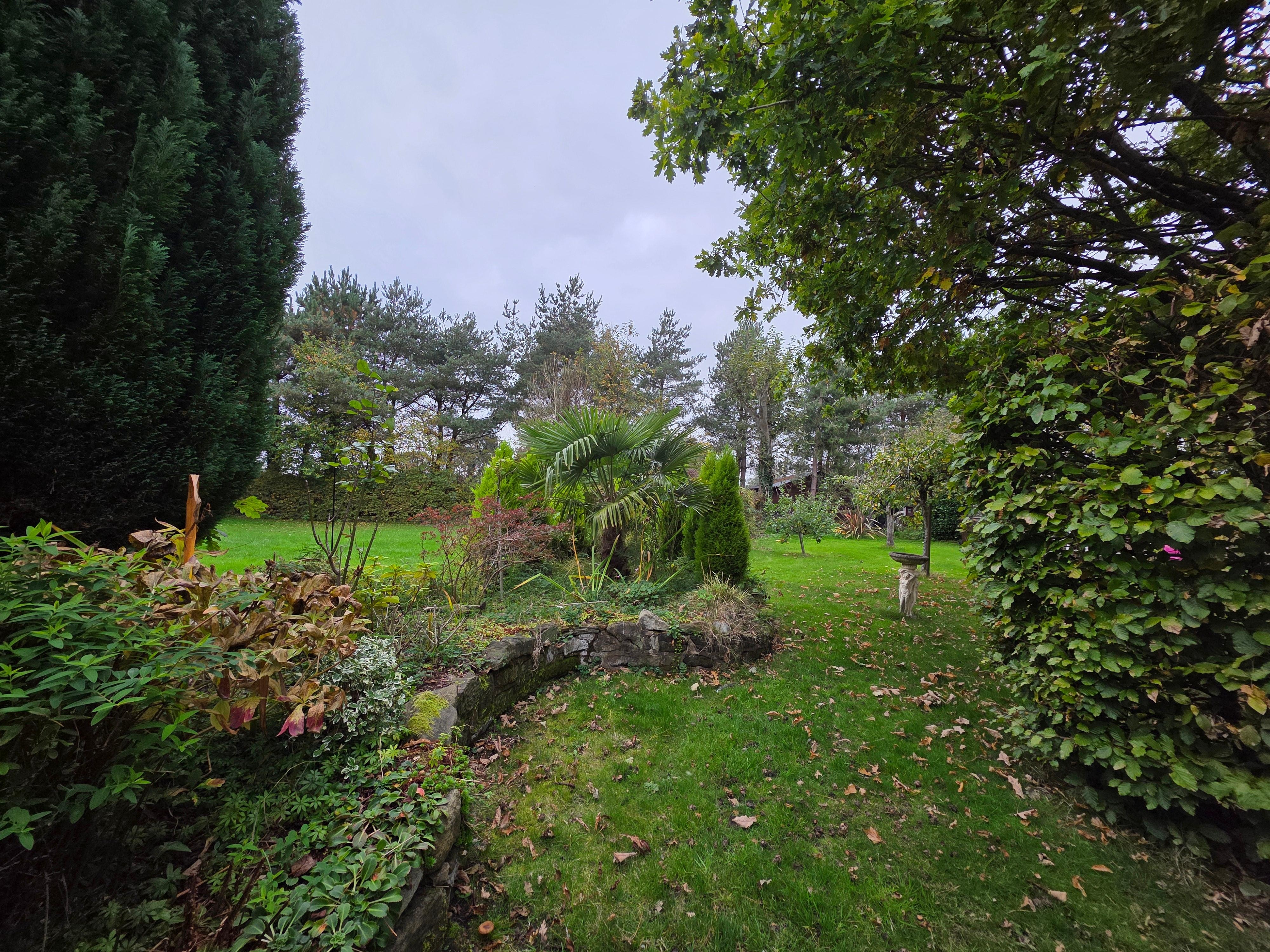 View from the patio table.