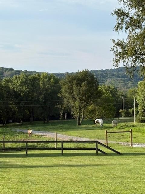 View from the front porch