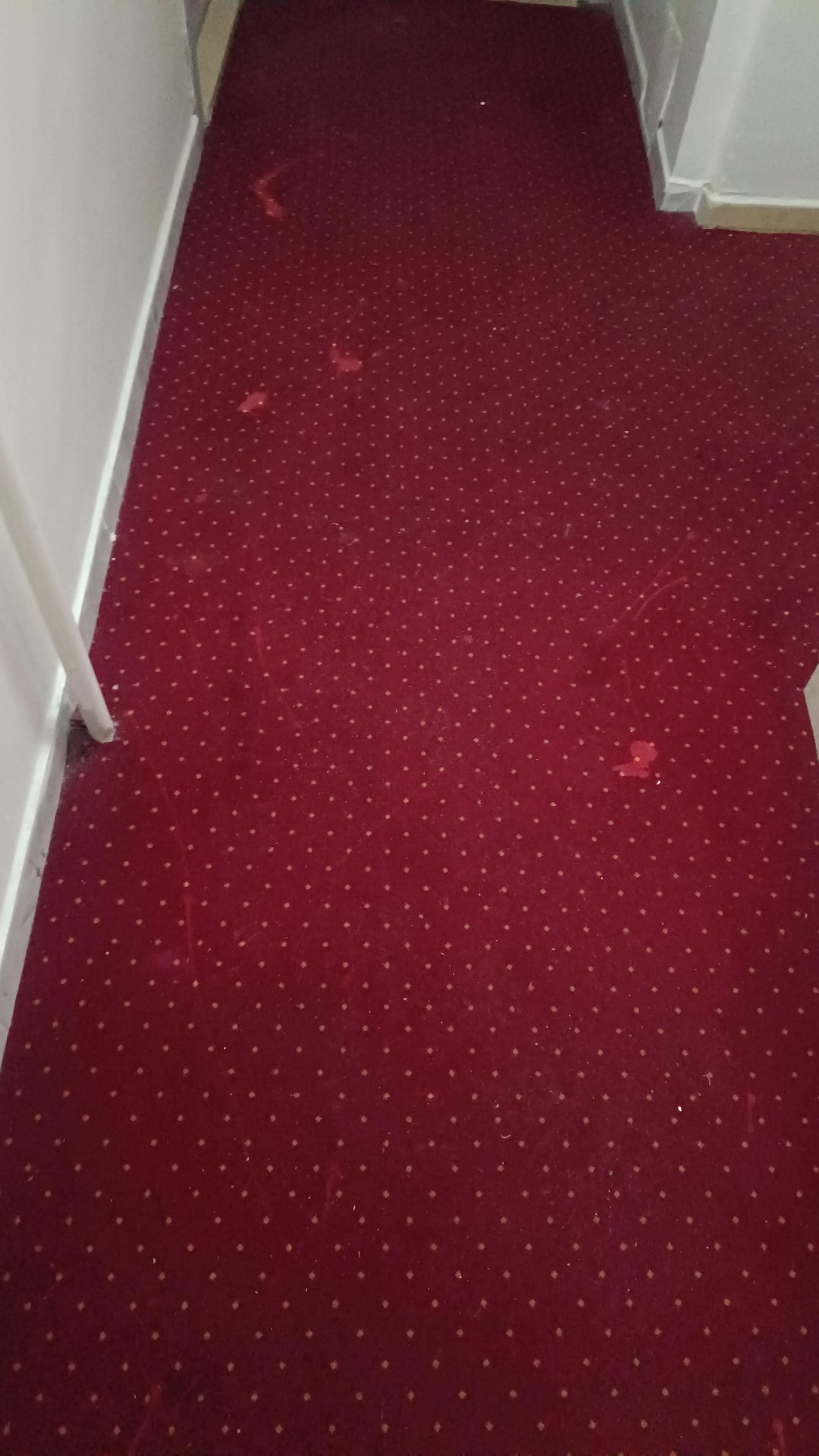 Not been clean or deep cleaning 