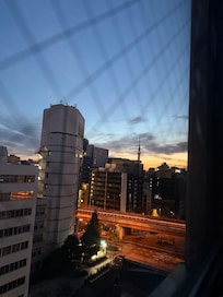 View from my room of Skytree