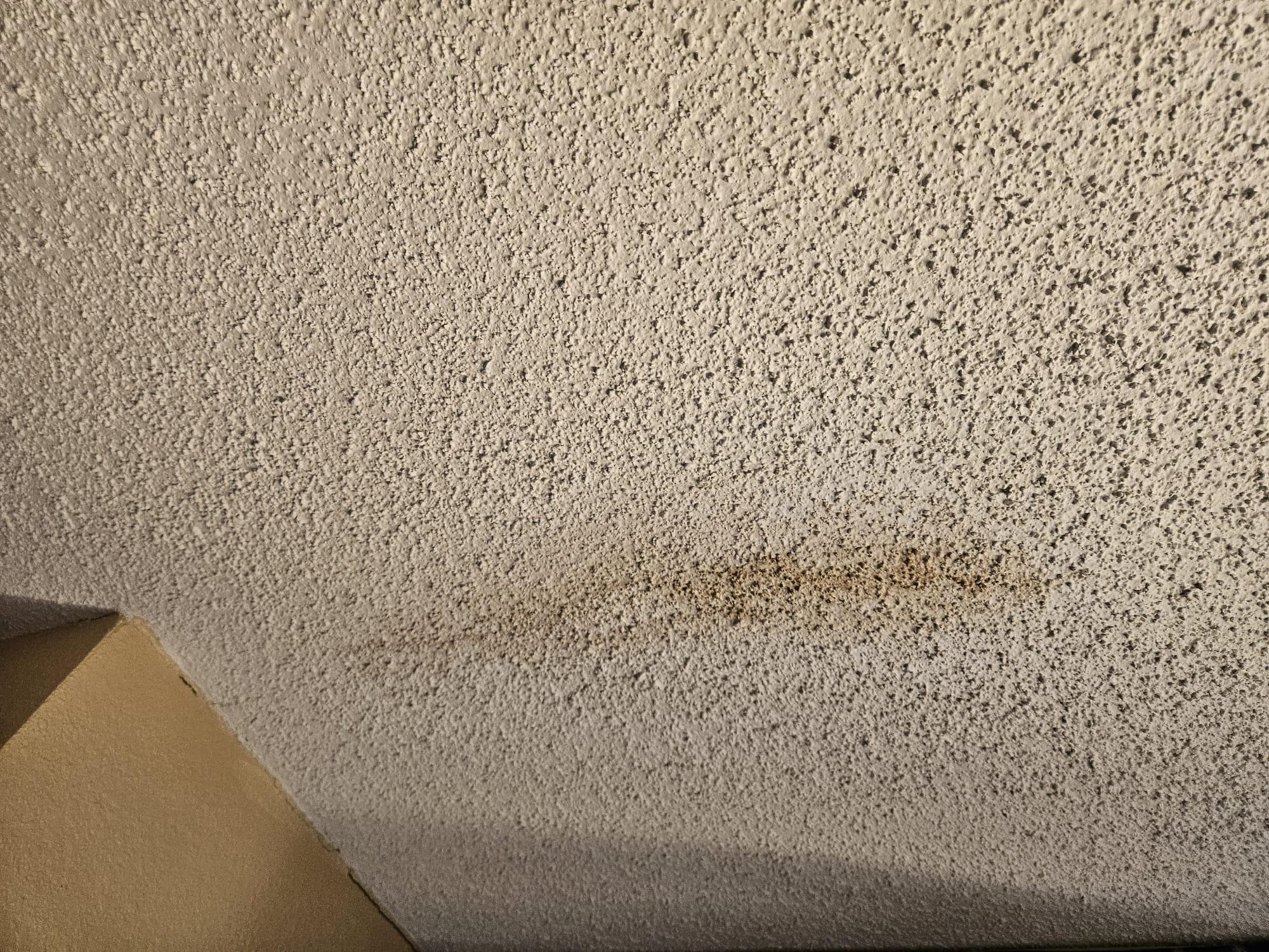 ceiling