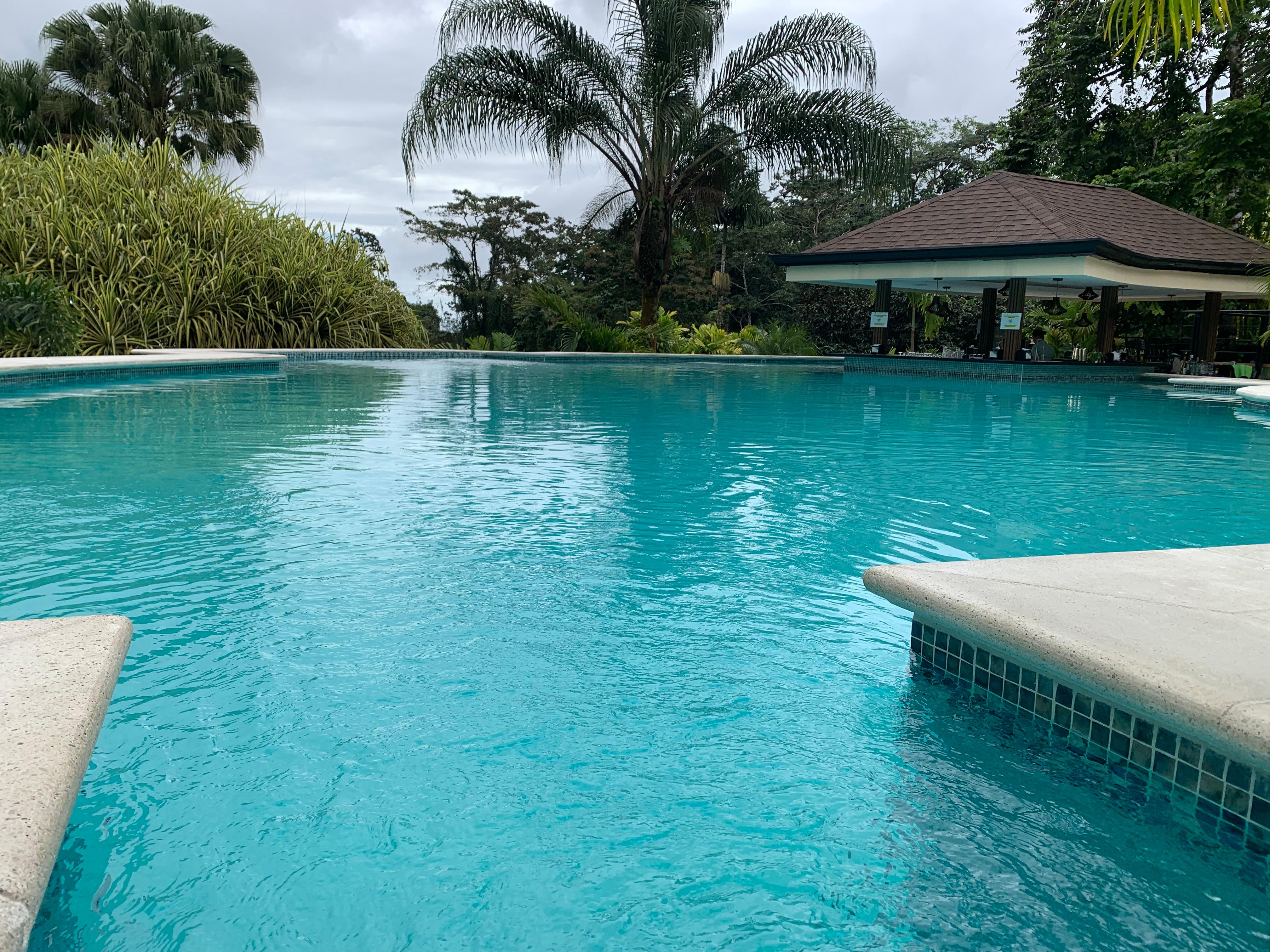 Piscine principale avec bar