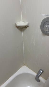 Mold in shower
