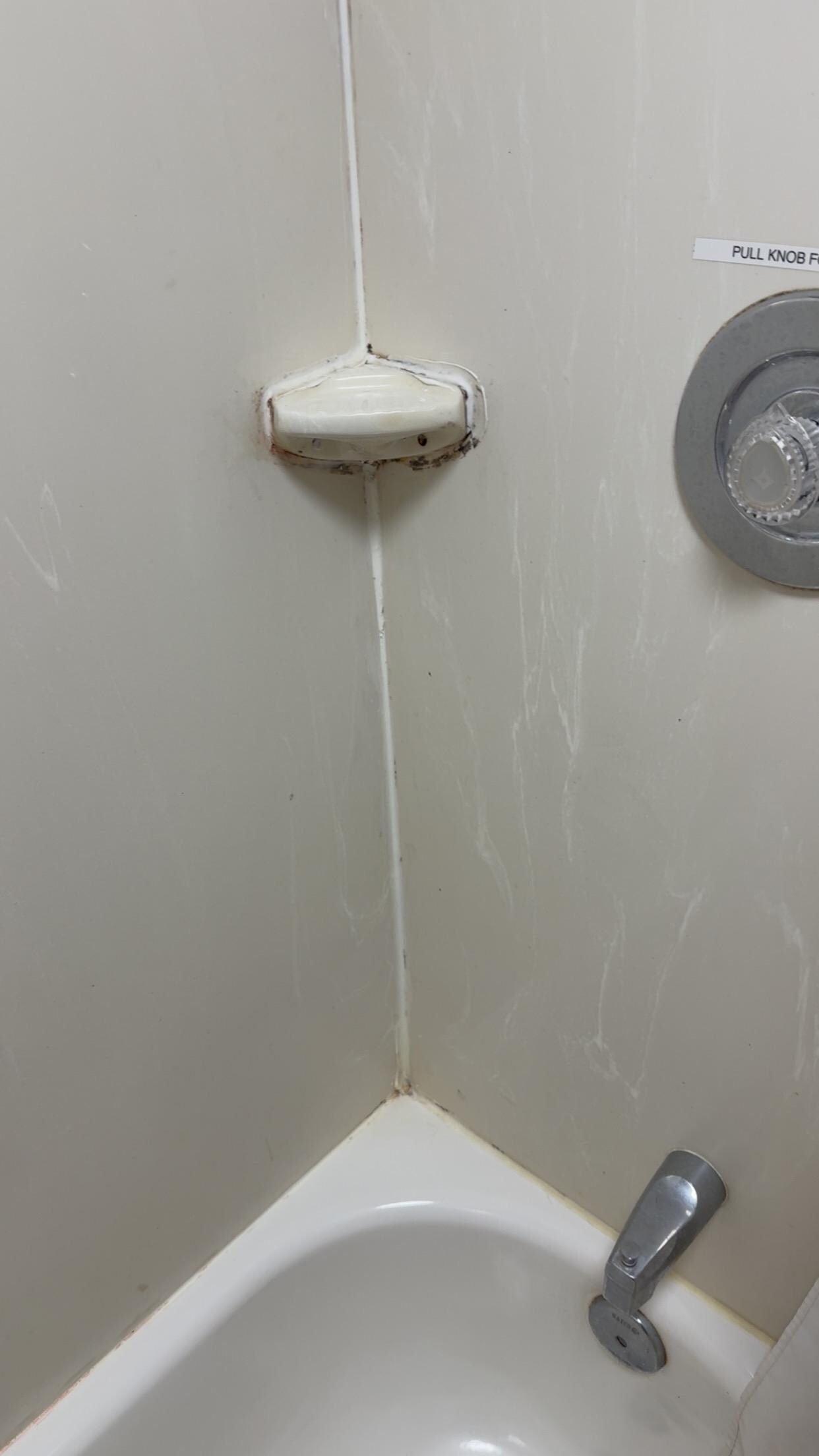 Mold in shower